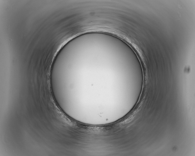 X0000096391529200801241105