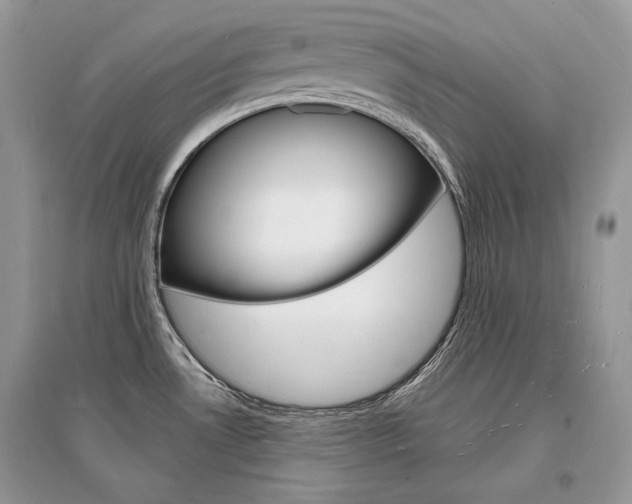 X0000096391530200801241105
