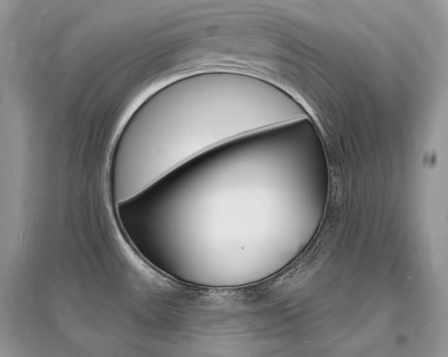 X0000096391531200801241105