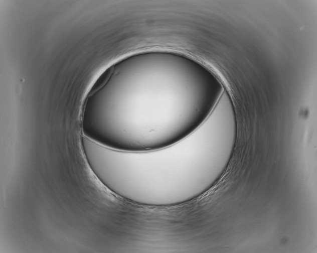 X0000096391532200801241105