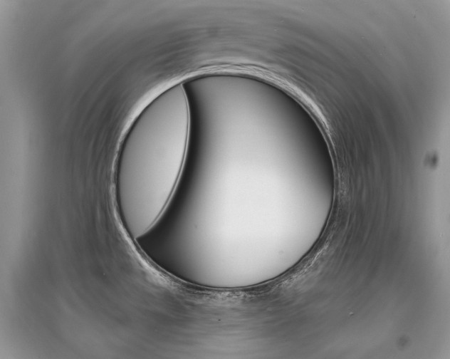 X0000096391533200801241105