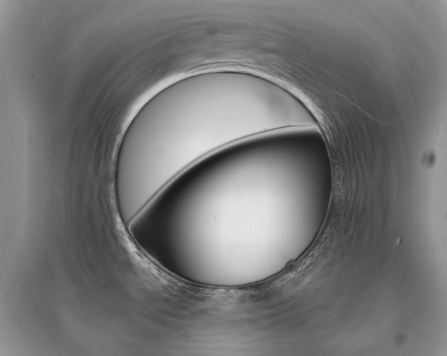 X0000096391534200801241105