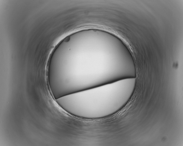 X0000096391535200801241105