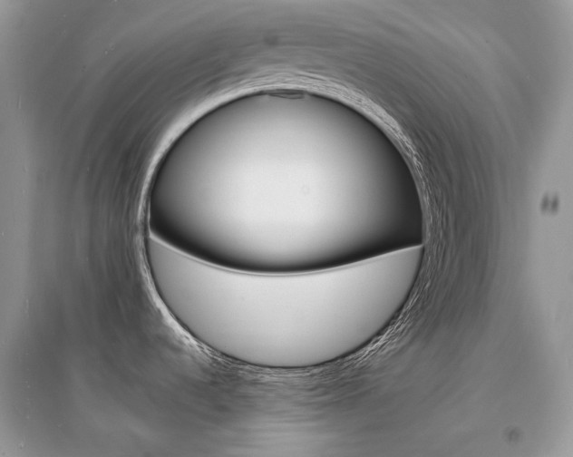 X0000096391536200801241105
