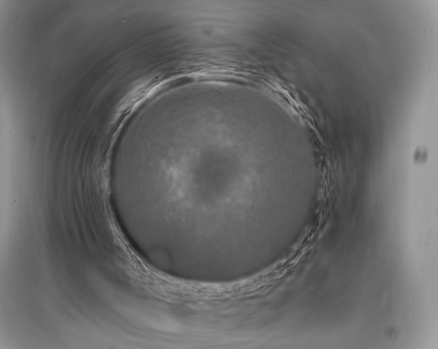 X0000096390002200801241313