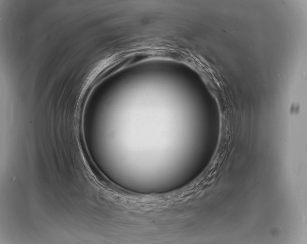 X0000096390003200801241313