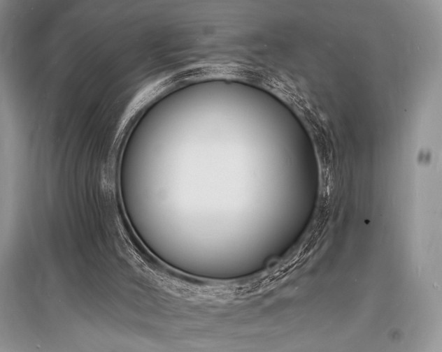 X0000096390004200801241313