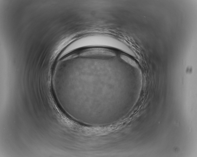 X0000096390005200801241313