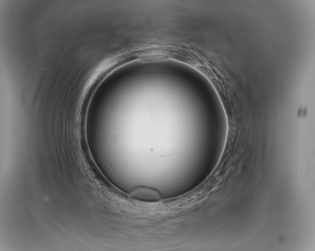X0000096390006200801241313