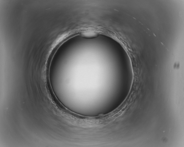 X0000096390008200801241313