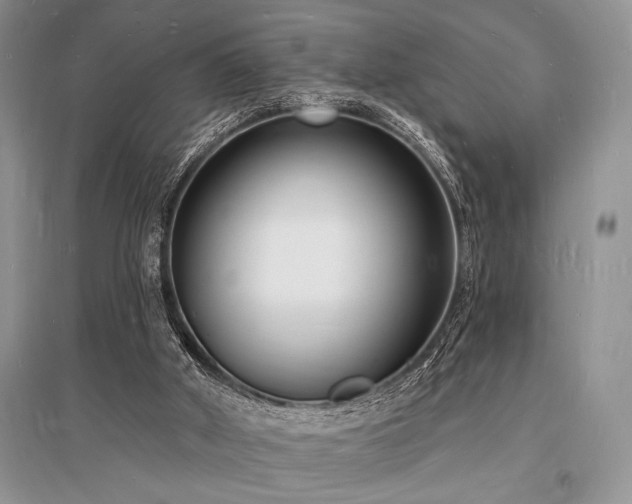 X0000096390010200801241313