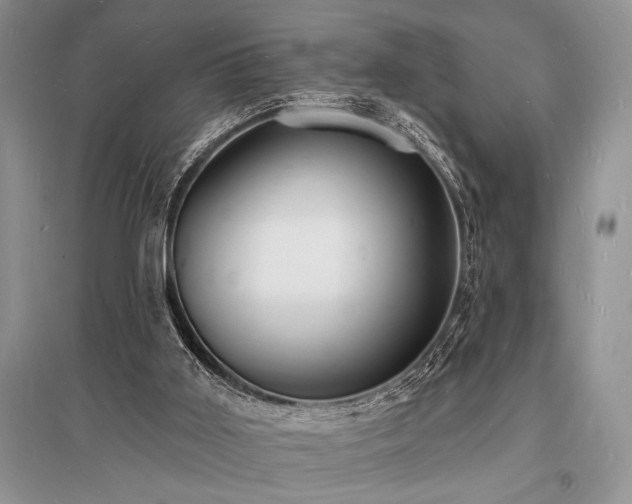 X0000096390011200801241313