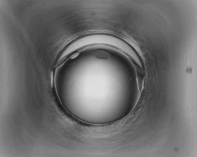 X0000096390013200801241313