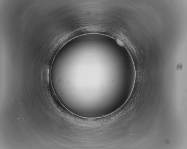 X0000096390014200801241313