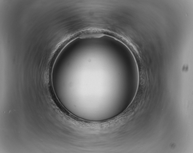 X0000096390015200801241313