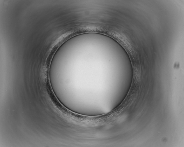 X0000096390016200801241313