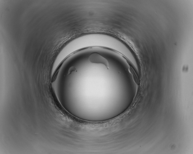 X0000096390017200801241313
