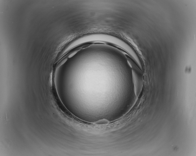 X0000096390019200801241313