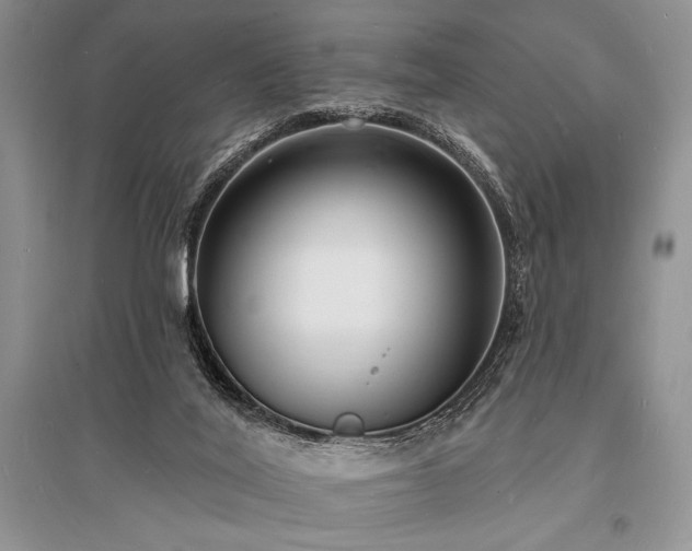X0000096390020200801241313