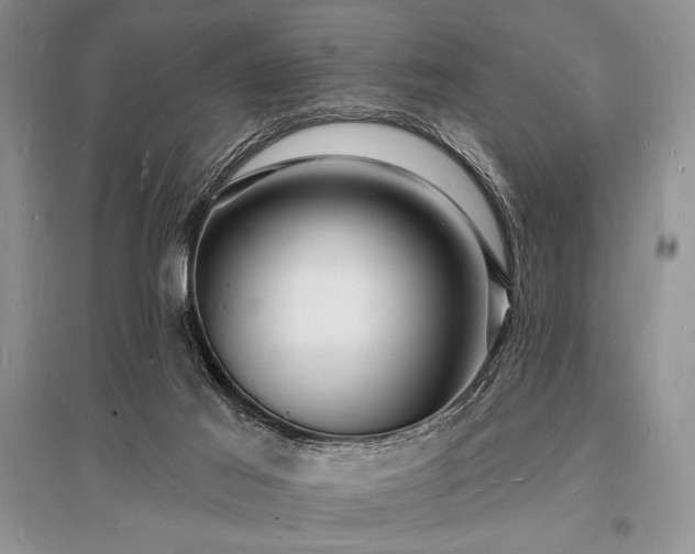 X0000096390021200801241313
