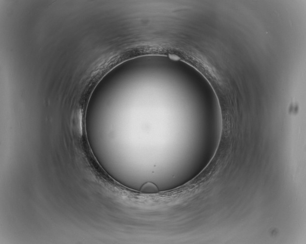 X0000096390022200801241313