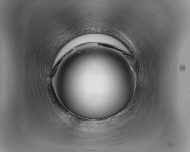 X0000096390025200801241313