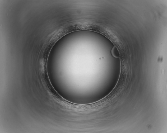 X0000096390026200801241313