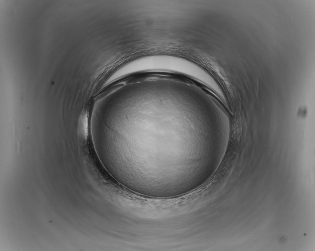 X0000096390027200801241313