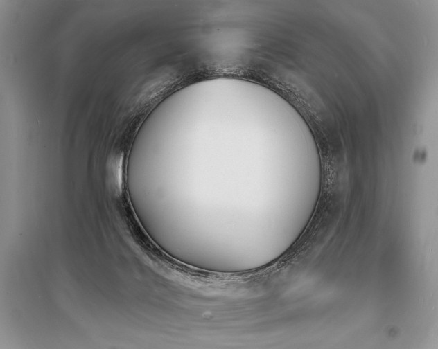 X0000096390028200801241313