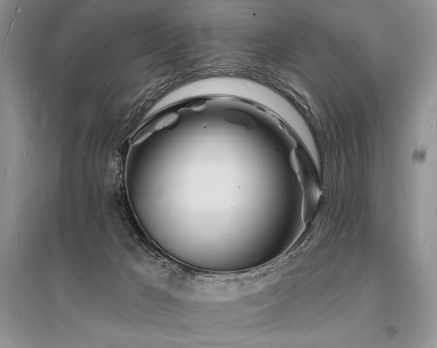 X0000096390029200801241313