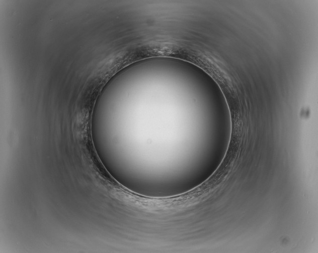 X0000096390030200801241313
