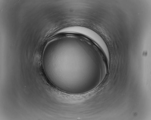 X0000096390031200801241313