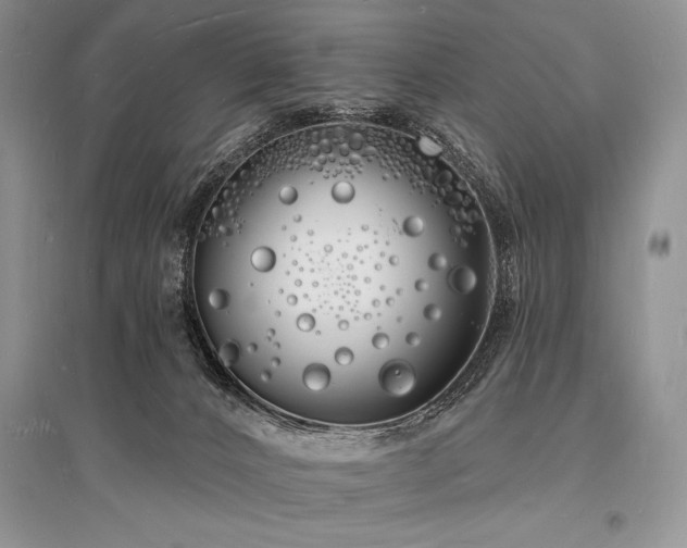 X0000096390032200801241313