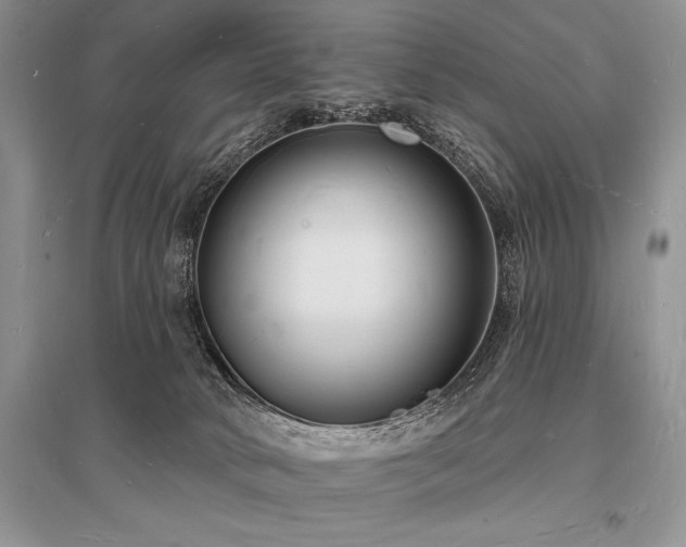 X0000096390034200801241313