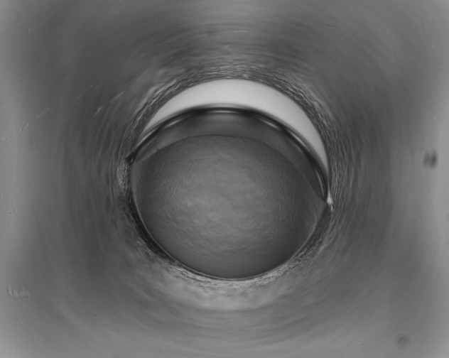 X0000096390035200801241313