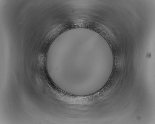 X0000096390036200801241313