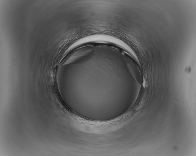 X0000096390039200801241313
