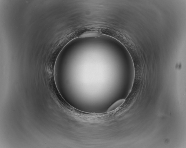 X0000096390040200801241313
