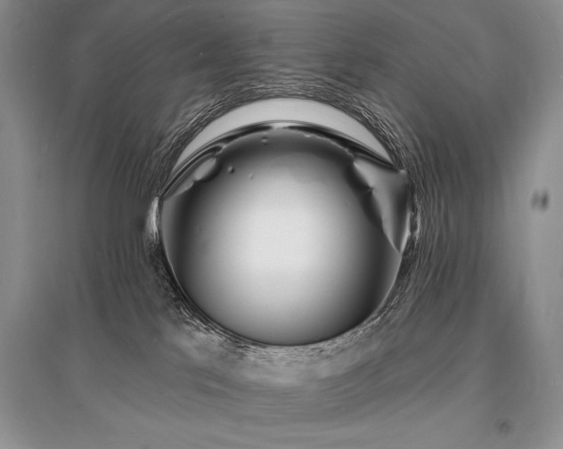 X0000096390041200801241313