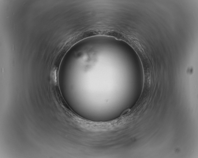 X0000096390042200801241313