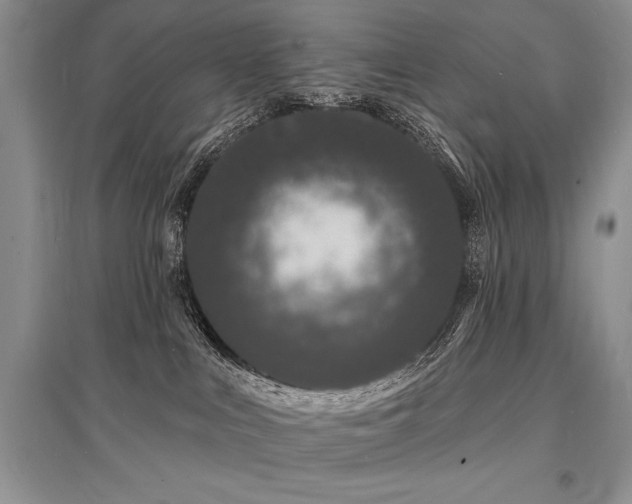 X0000096390043200801241313