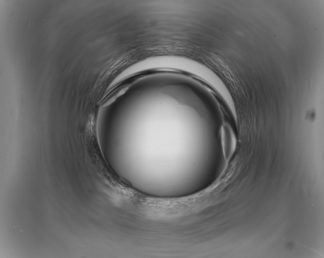 X0000096390045200801241313