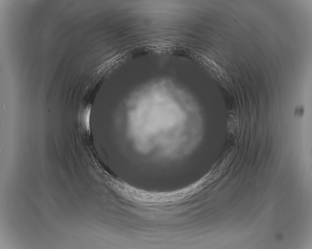 X0000096390047200801241313