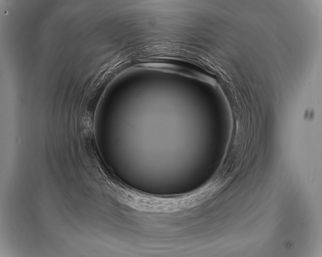 X0000096390048200801241313