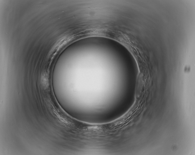 X0000096390050200801241312