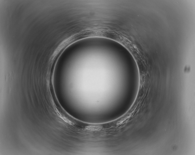 X0000096390051200801241312