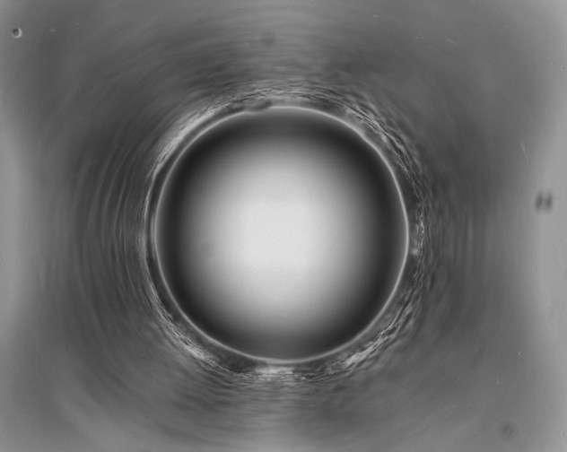 X0000096390052200801241312