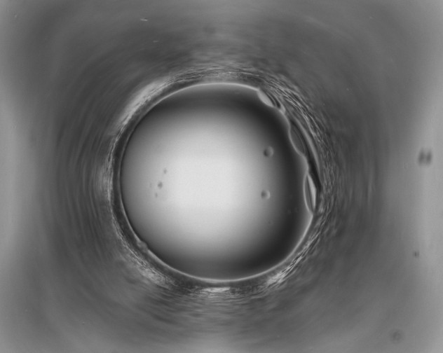 X0000096390054200801241312