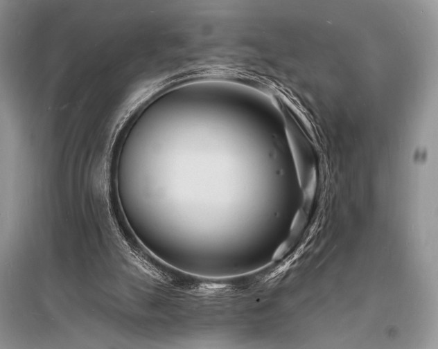 X0000096390055200801241312