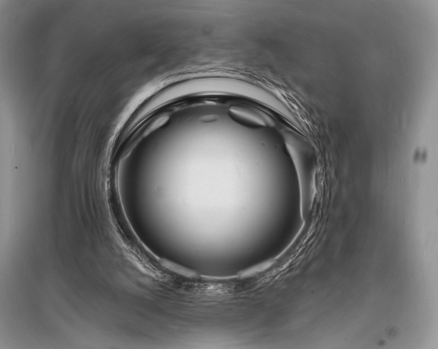 X0000096390056200801241312